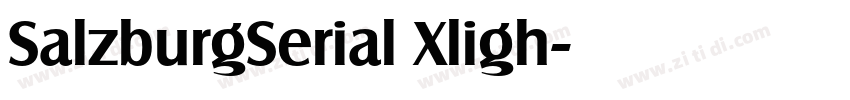 SalzburgSerial Xligh字体转换 SalzburgSerial Xligh字体转换